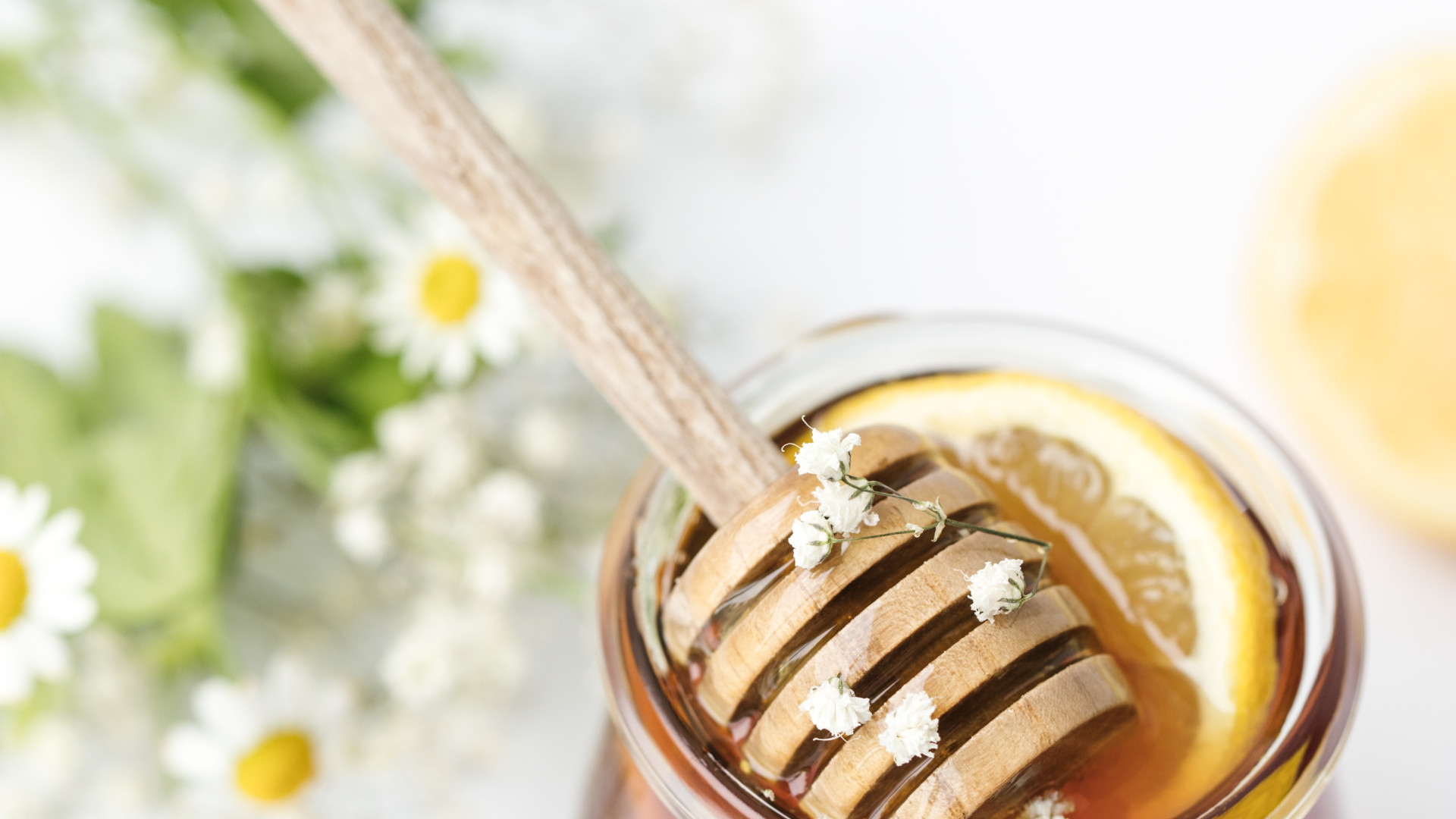 Le miel corse, un remède naturel pour renforcer votre système immunitaire